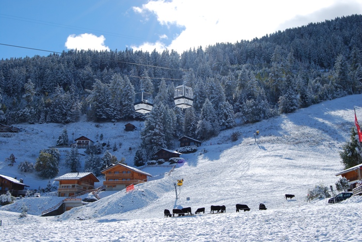 Galerie Nendaz