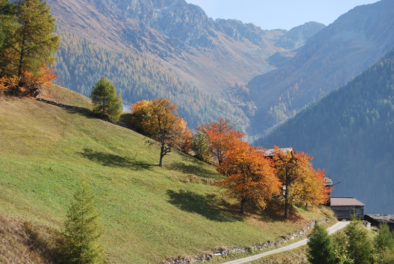 Galerie Nendaz