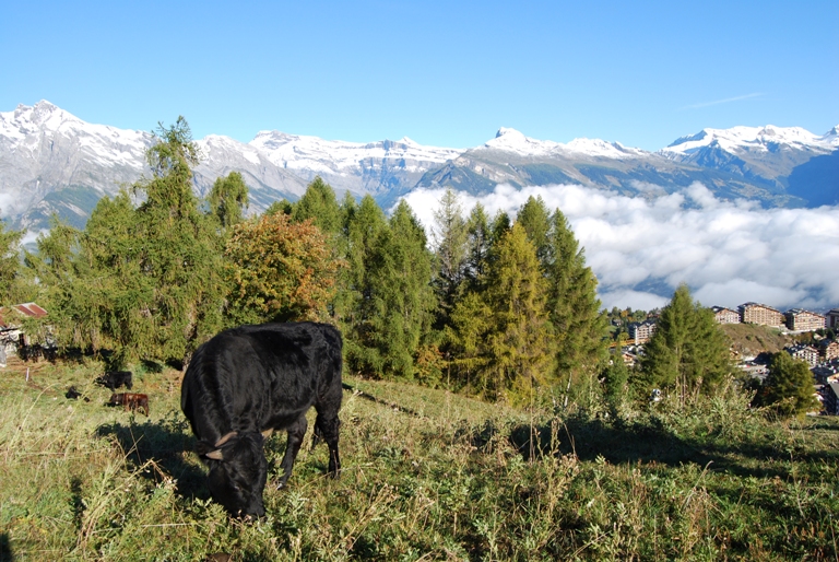 Galerie Nendaz