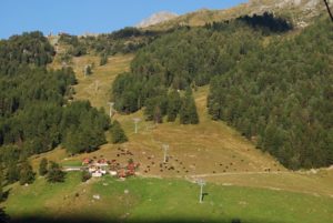 Galerie Nendaz