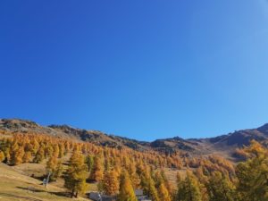 Galerie Nendaz